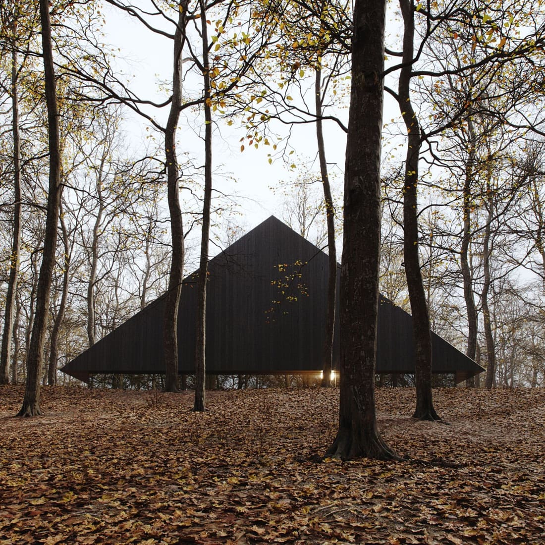 Triangle / architecture: plankton.group